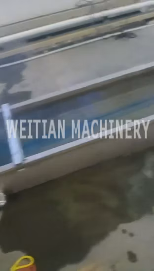 Fabricante experto de máquinas granuladoras de escamas de plástico PP PE